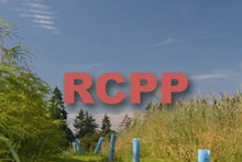 RCPP image